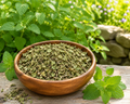 Lemon Balm